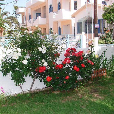 Joanna Apartments Agia Pelagia  Extérieur photo